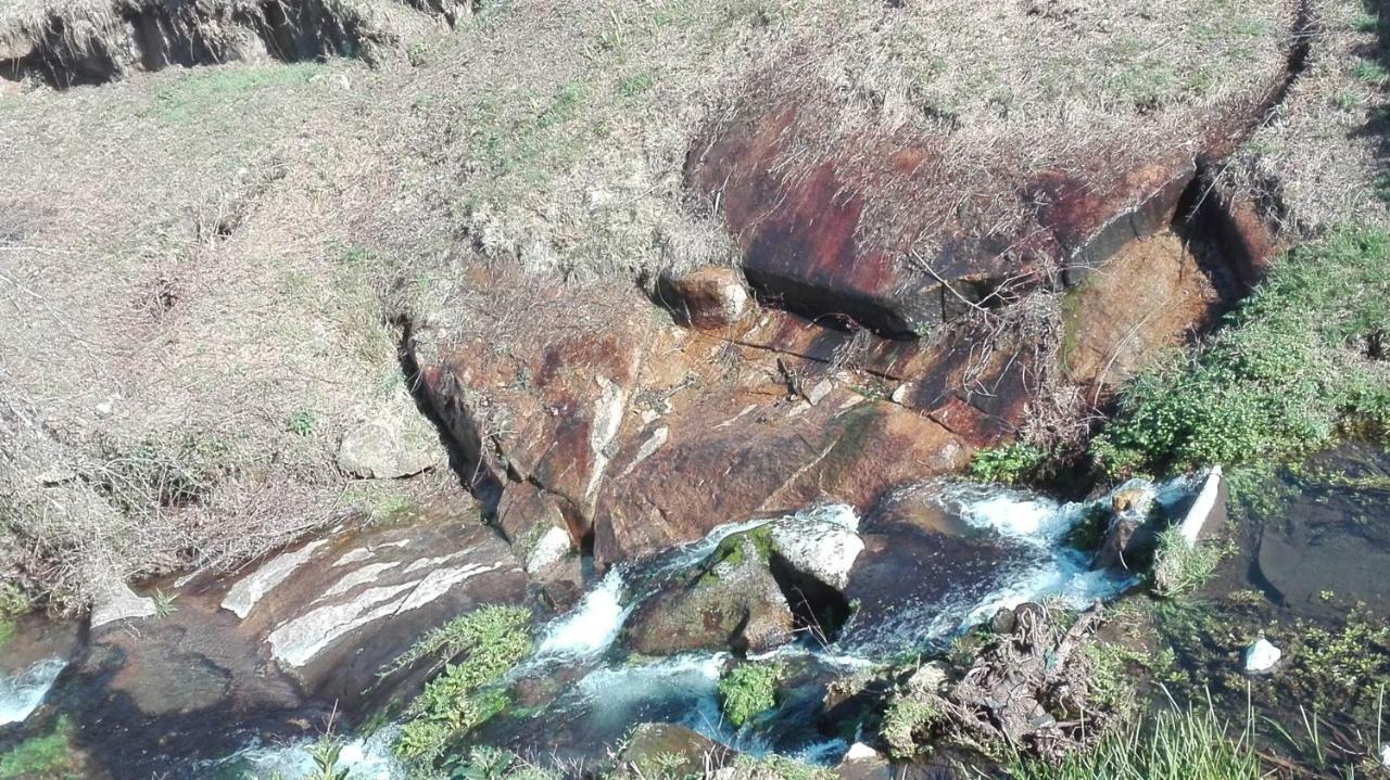 Quinta De Alvarenga Εξωτερικό φωτογραφία